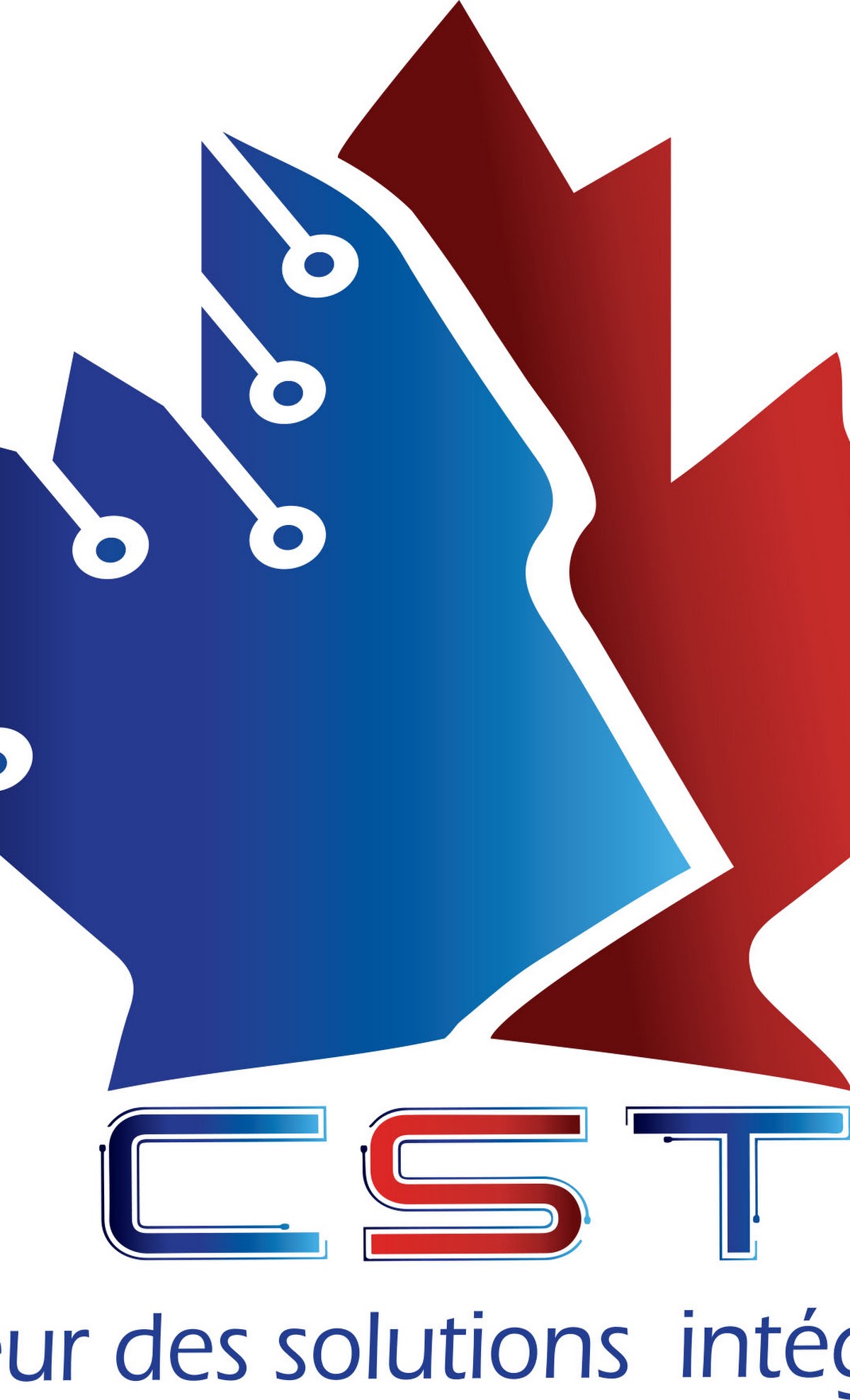CANADIAN SYSTEM TECHNOLOGY logo.